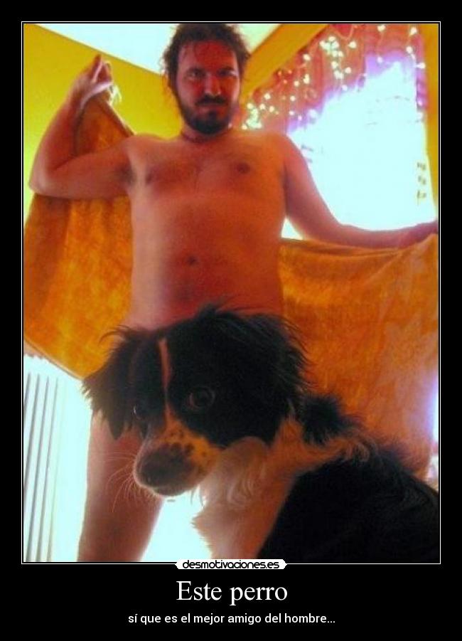 Este perro -