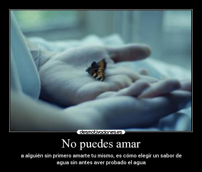No puedes amar -