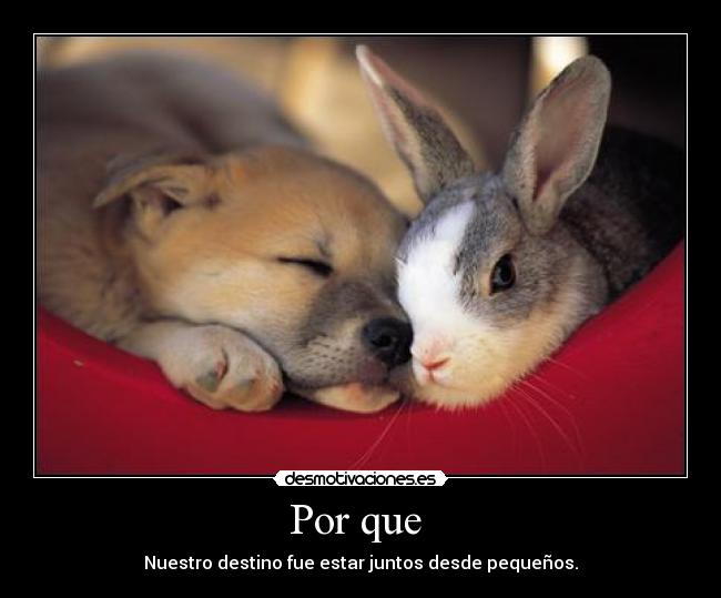 Por que  - Nuestro destino fue estar juntos desde pequeños.