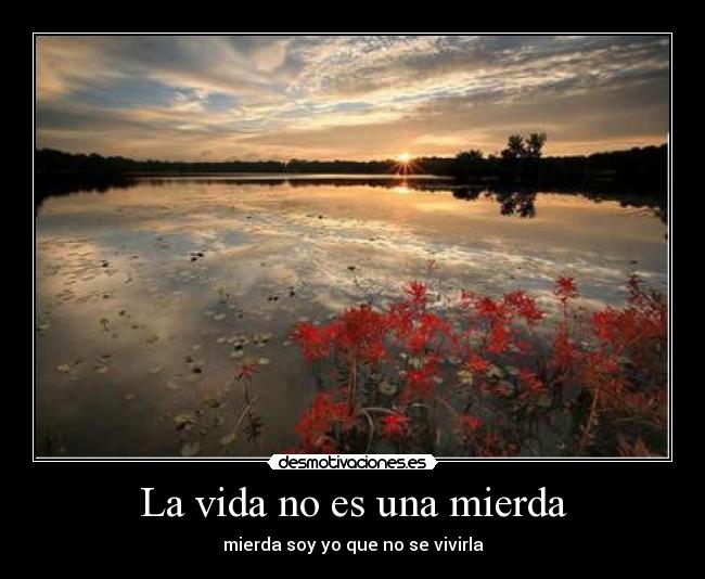 La vida no es una mierda - mierda soy yo que no se vivirla