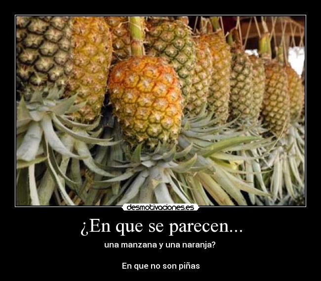 ¿En que se parecen... - 