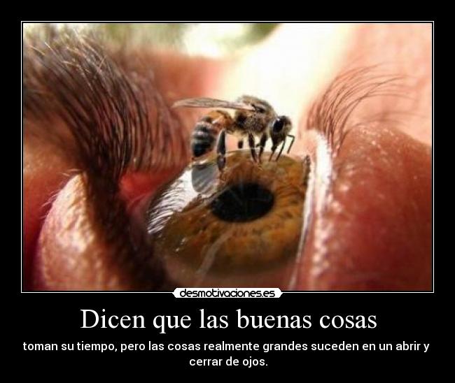 Dicen que las buenas cosas -