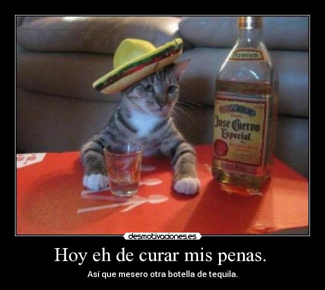 Hoy eh de curar mis penas. -