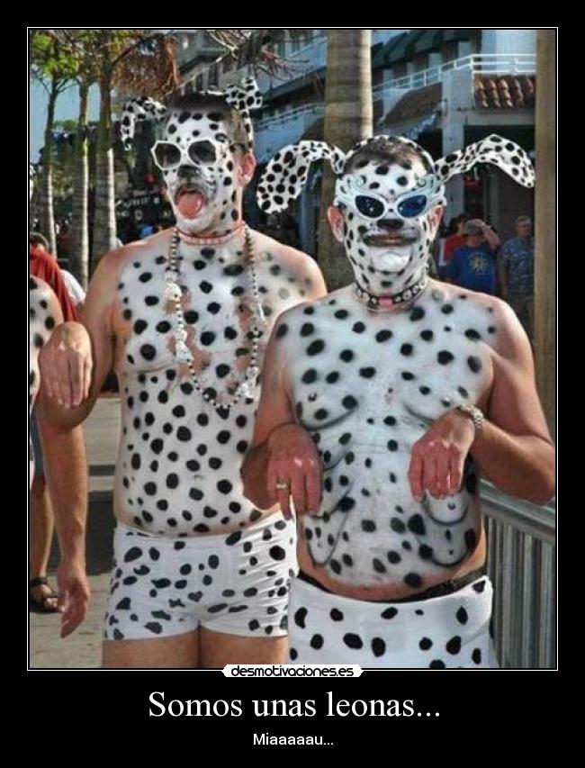 carteles lolmaogtfostfu desmotivaciones