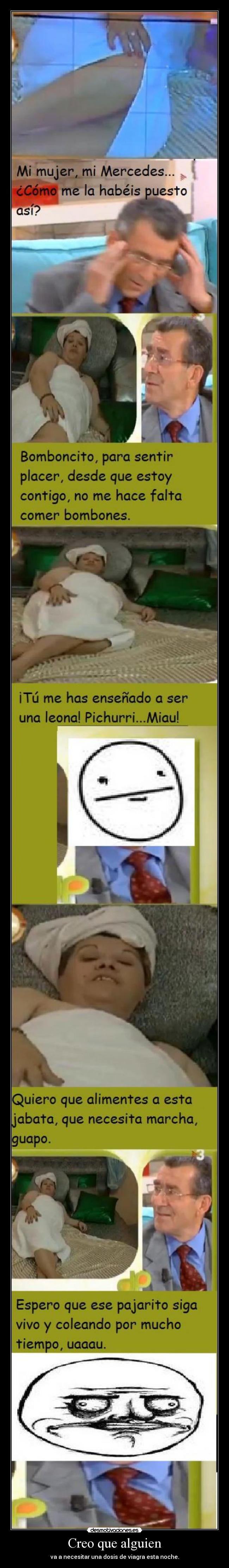 carteles pichurri miau desmotivaciones