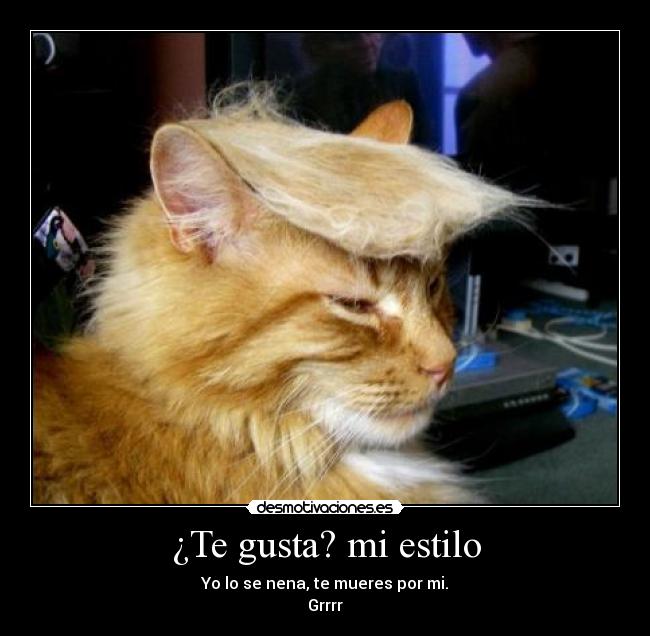 ¿Te gusta? mi estilo - Yo lo se nena, te mueres por mi.
Grrrr
