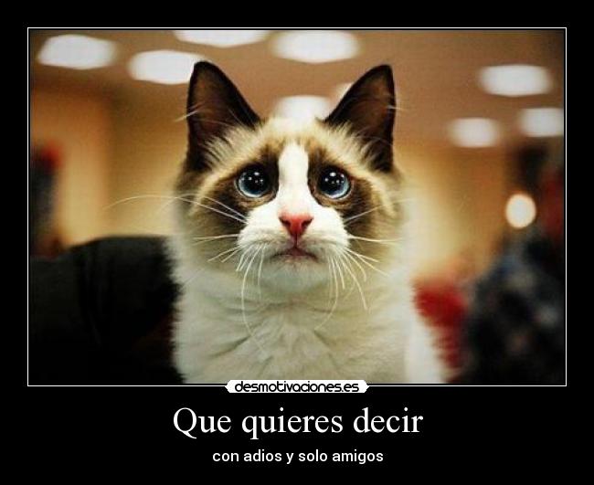 Que quieres decir - con adios y solo amigos