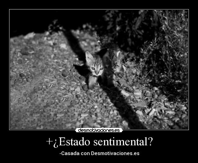 carteles desmotivaciones siempre estoy casada con esta pagina wii desmotivaciones