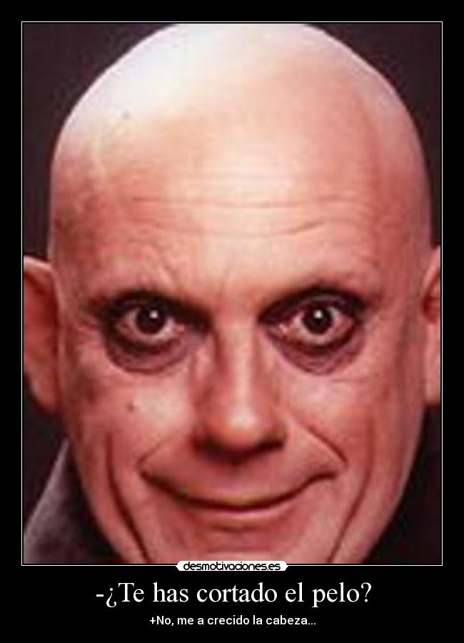 -¿Te has cortado el pelo? - +No, me a crecido la cabeza...
