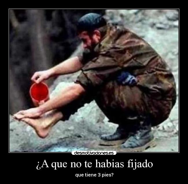 ¿A que no te habias fijado -