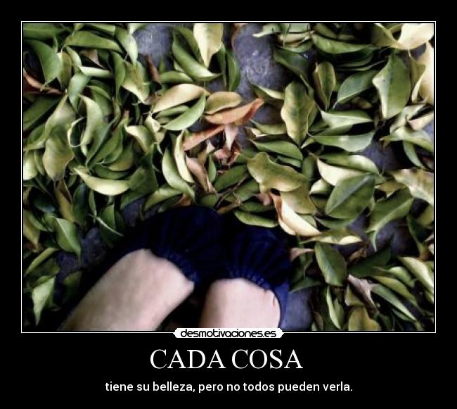CADA COSA  - 