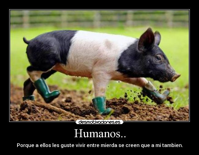 Humanos.. -