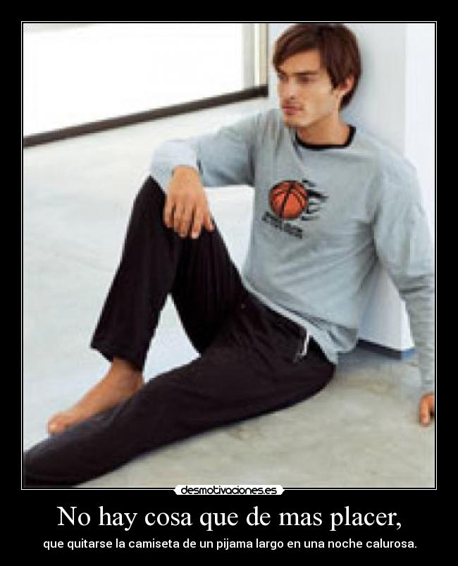 carteles los corazon las chuck norris forever alone are luke you principal gatosdefinicion grafica desmotivaciones