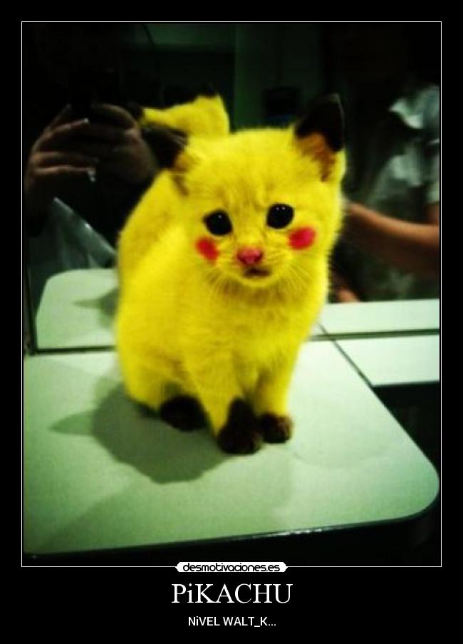 PiKACHU - NiVEL WALT_K...