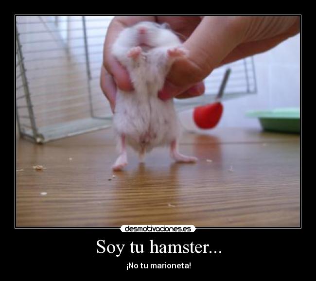 Soy tu hamster... -