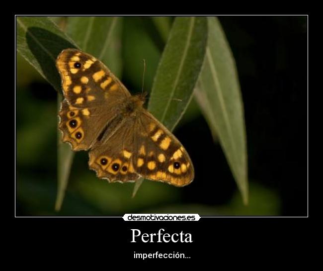 Perfecta -