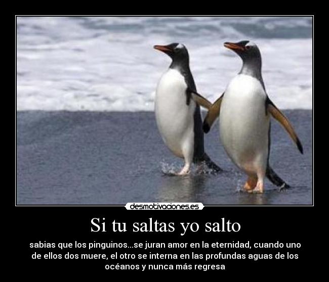 Si tu saltas yo salto - sabias que los pinguinos...se juran amor en la eternidad, cuando uno
de ellos dos muere, el otro se interna en las profundas aguas de los
océanos y nunca más regresa