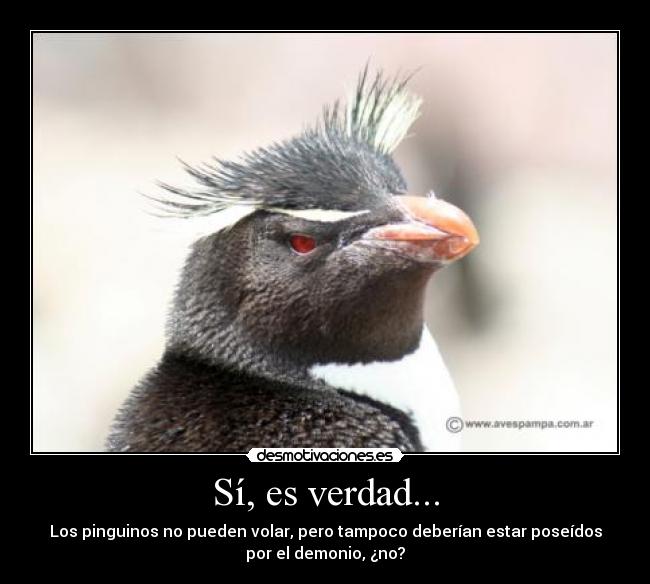 Sí, es verdad... - Los pinguinos no pueden volar, pero tampoco deberían estar poseídos
por el demonio, ¿no?