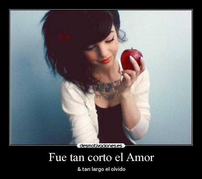 Fue tan corto el Amor - 
