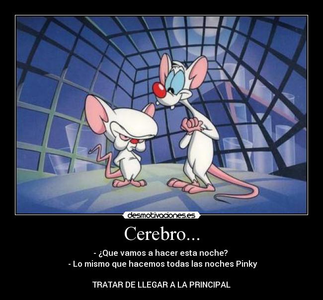 Cerebro... -