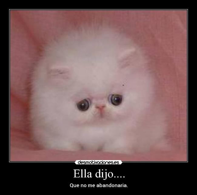 Ella dijo.... - Que no me abandonaria.