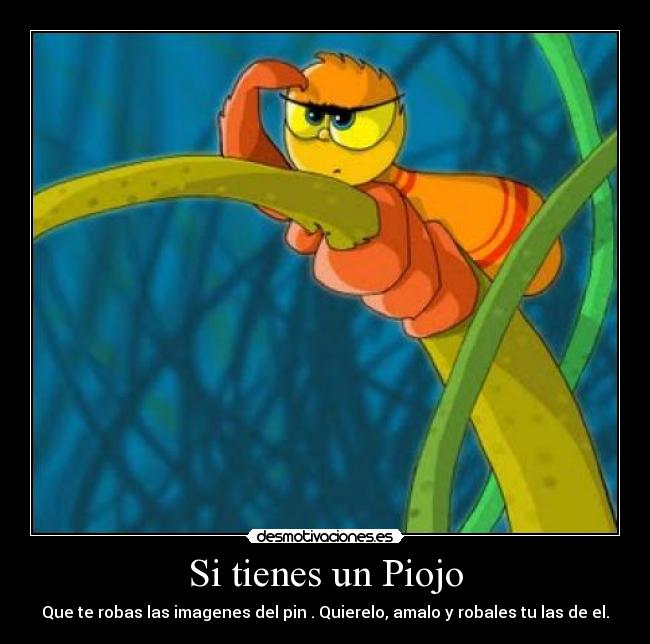 Si tienes un Piojo - Que te robas las imagenes del pin . Quierelo, amalo y robales tu las de el.