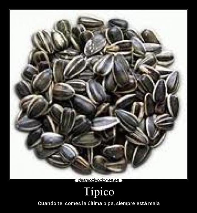 Típico - Cuando te comes la última pipa, siempre está mala