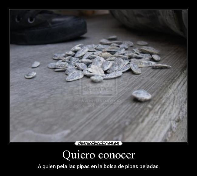 Quiero conocer -