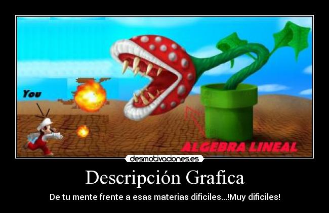 Descripción Grafica - De tu mente frente a esas materias dificiles...!Muy dificiles!