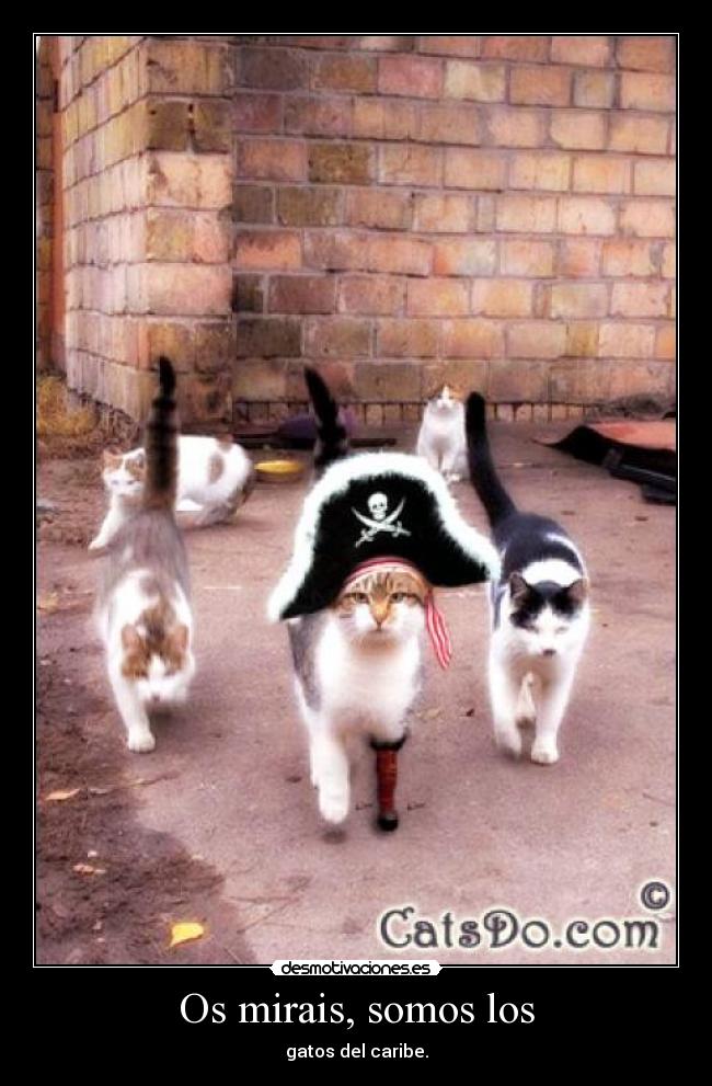 Os mirais, somos los - 