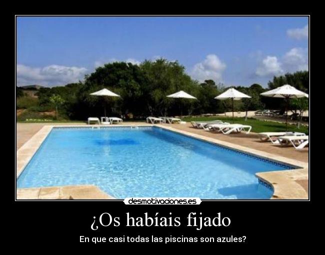¿Os habíais fijado - En que casi todas las piscinas son azules?
