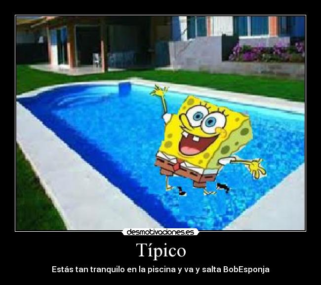 Típico - Estás tan tranquilo en la piscina y va y salta BobEsponja