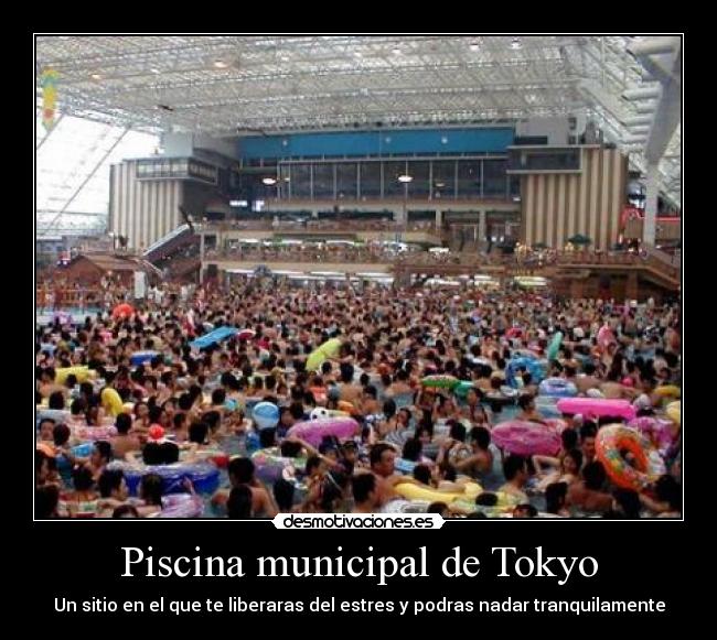 Piscina municipal de Tokyo - Un sitio en el que te liberaras del estres y podras nadar tranquilamente