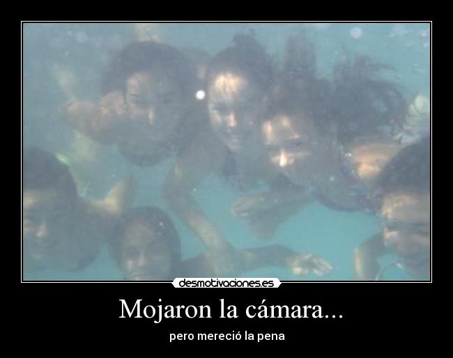 Mojaron la cámara... -