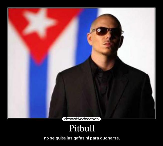 Pitbull - no se quita las gafas ni para ducharse.