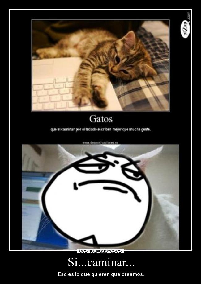 Si...caminar... - Eso es lo que quieren que creamos.