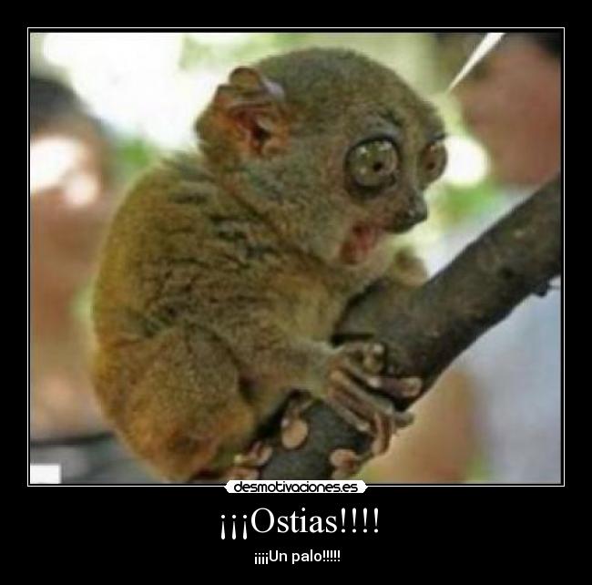 ¡¡¡Ostias!!!! - ¡¡¡¡Un palo!!!!!