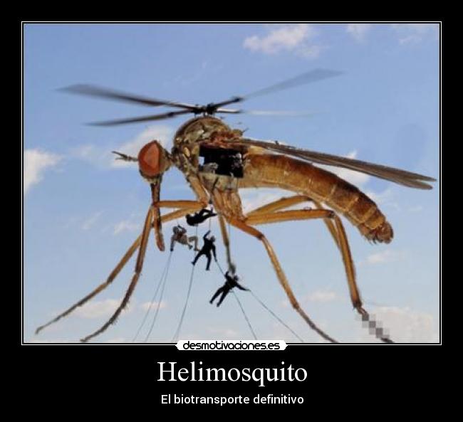 Helimosquito - El biotransporte definitivo