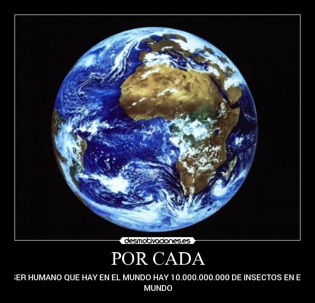 POR CADA - SER HUMANO QUE HAY EN EL MUNDO HAY 10.000.000.000 DE INSECTOS EN EL
MUNDO