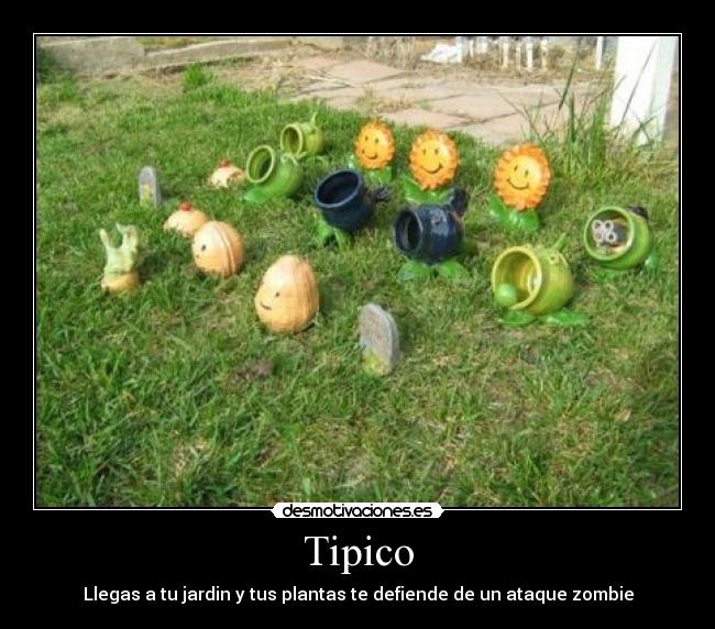 Tipico - Llegas a tu jardin y tus plantas te defiende de un ataque zombie