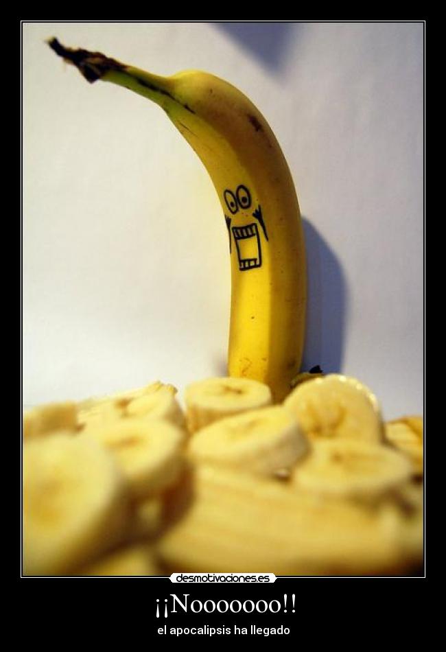 ¡¡Nooooooo!! - el apocalipsis ha llegado