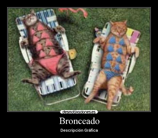 Bronceado - Descripción Gráfica