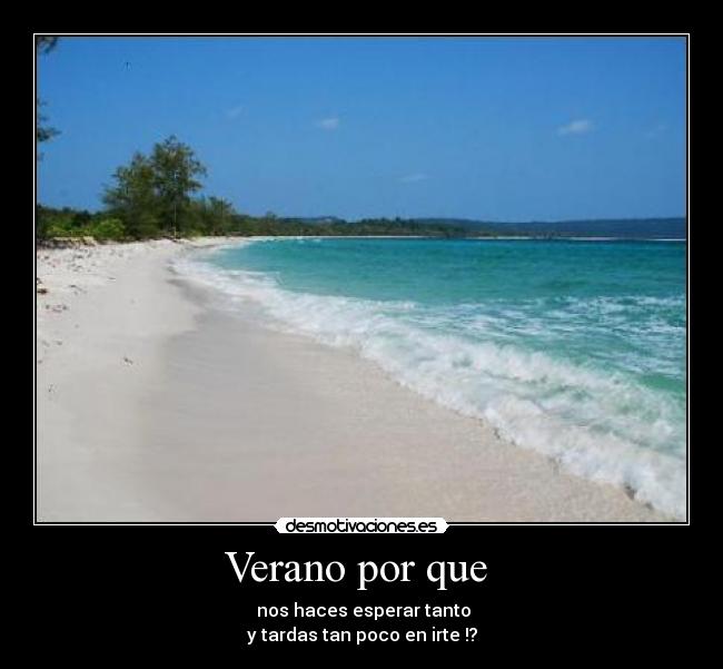 carteles verano verano forever alone desmotivaciones