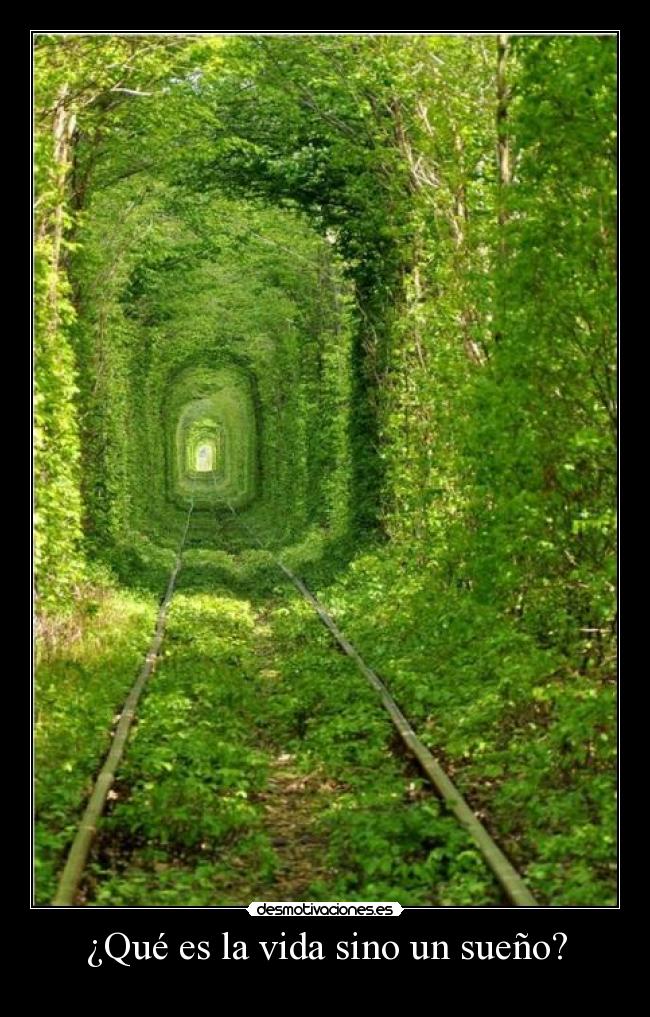 ¿Qué es la vida sino un sueño? -