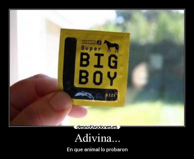 Adivina... - En que animal lo probaron