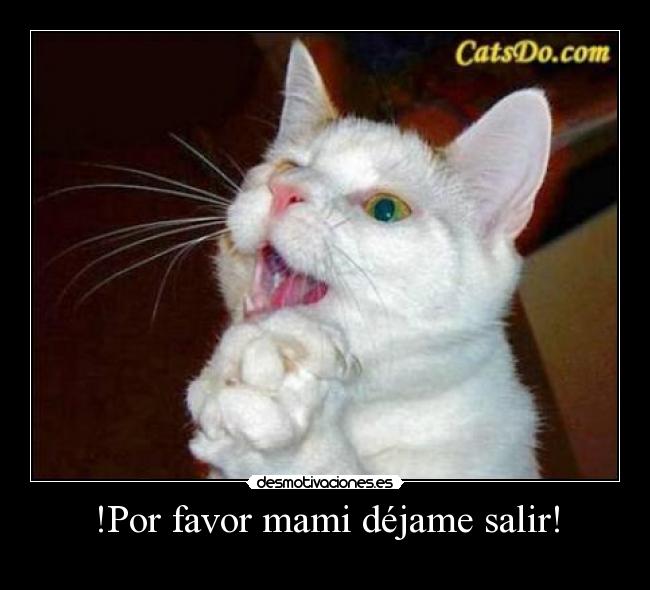 !Por favor mami déjame salir! -