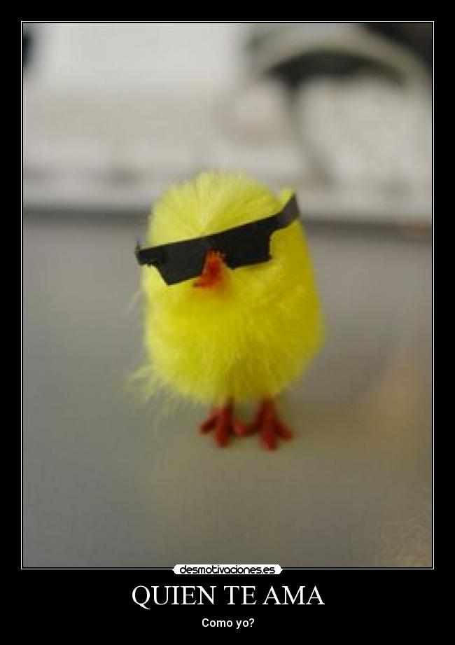 QUIEN TE AMA - Como yo?