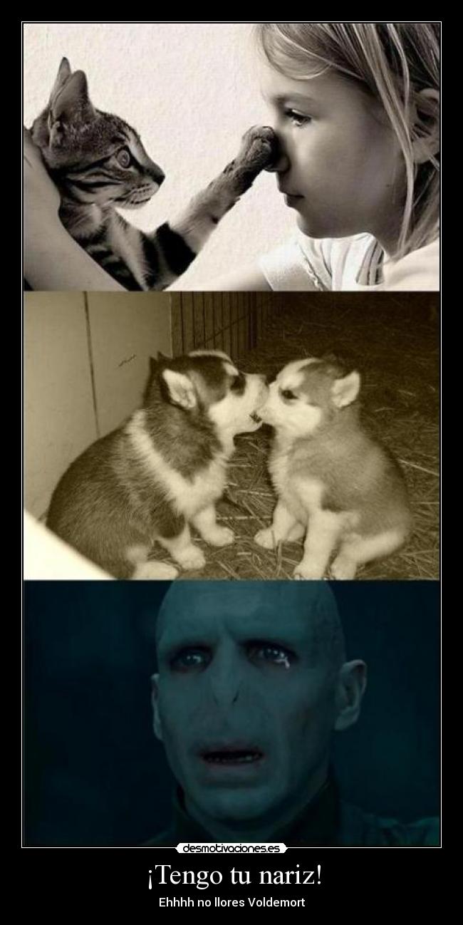 ¡Tengo tu nariz! - 
