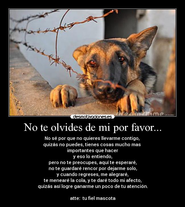 No te olvides de mi por favor... -
