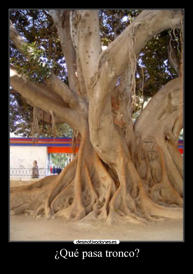 ¿Qué pasa tronco? -